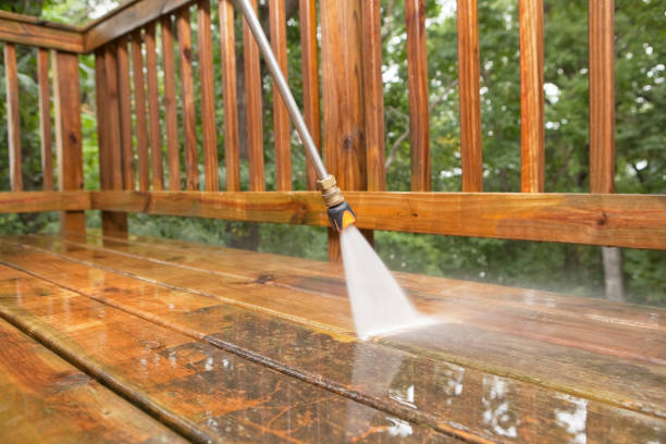 Animal Enclosure Cleaning in Windsor, VA